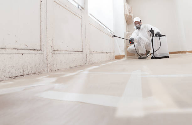 24/7 Emergency Mold Cleanup experts in Bloomingdale, IL