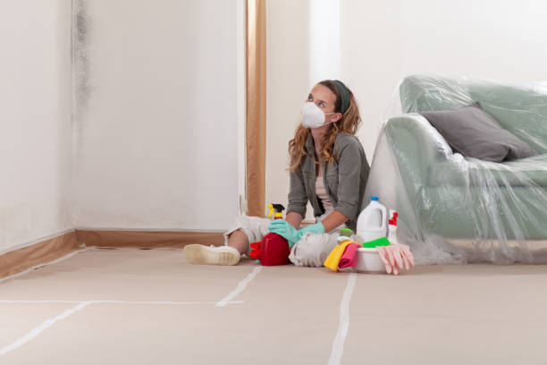 Reliable Mold Cleanup contractor in Bloomingdale, IL by WQB Mold Removal
